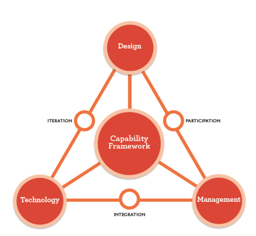 capability model plus enablers