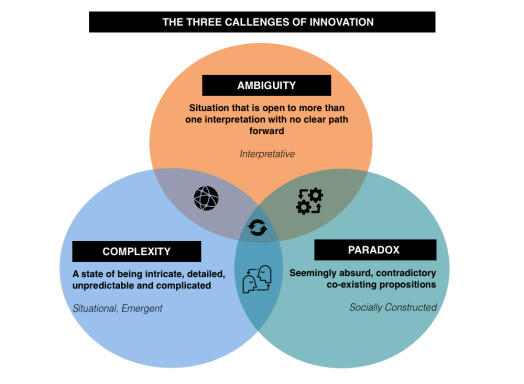 ambiguity paradox and complexity